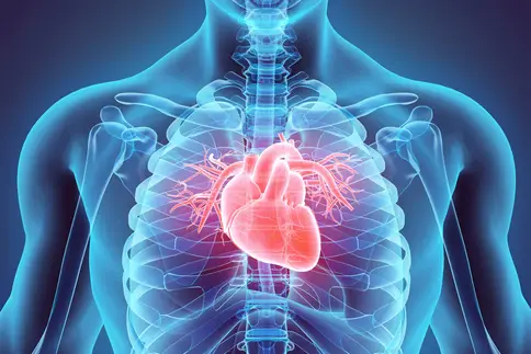 photo of man's Heart